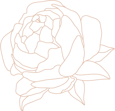 rose vector